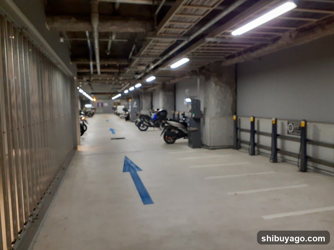Underground Parking Garage