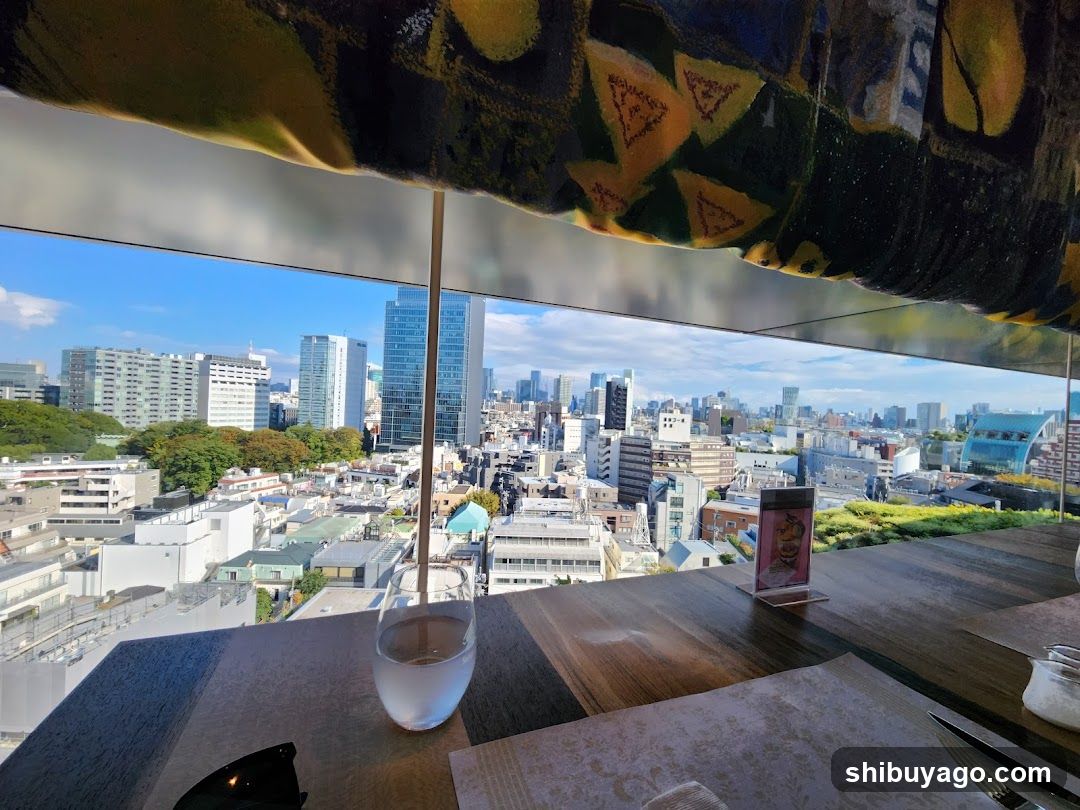 City View from Restaurant