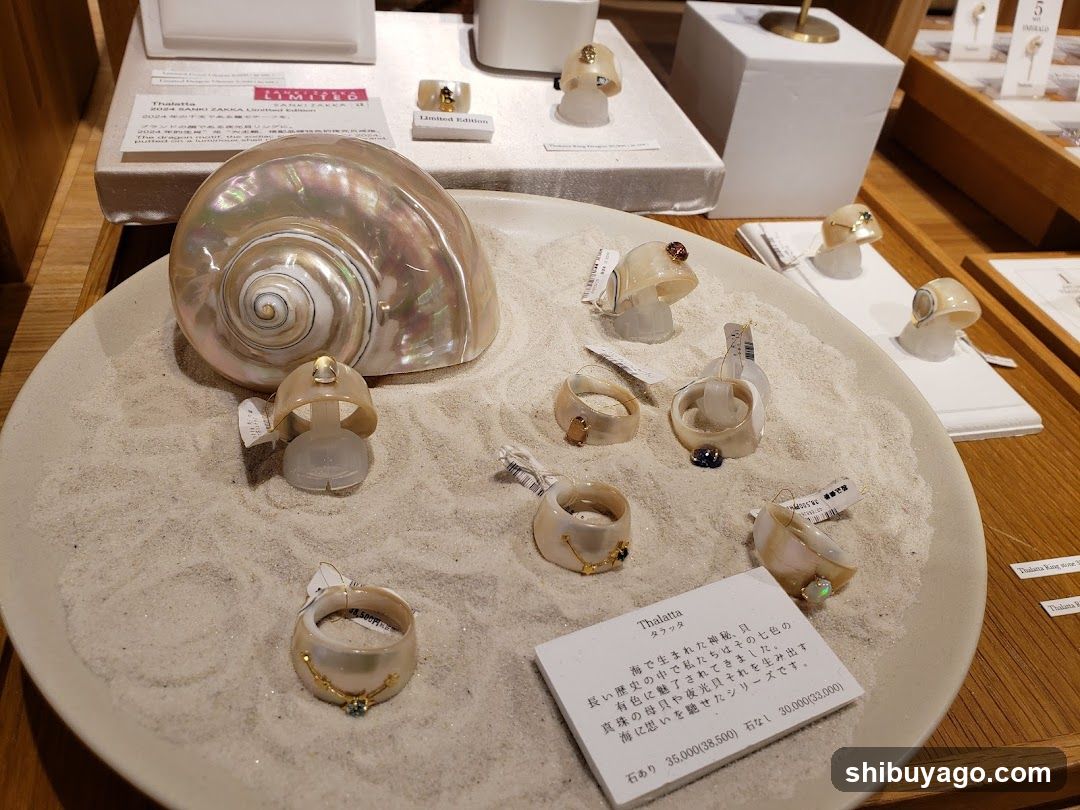 Jewelry Display with Shell and Rings
