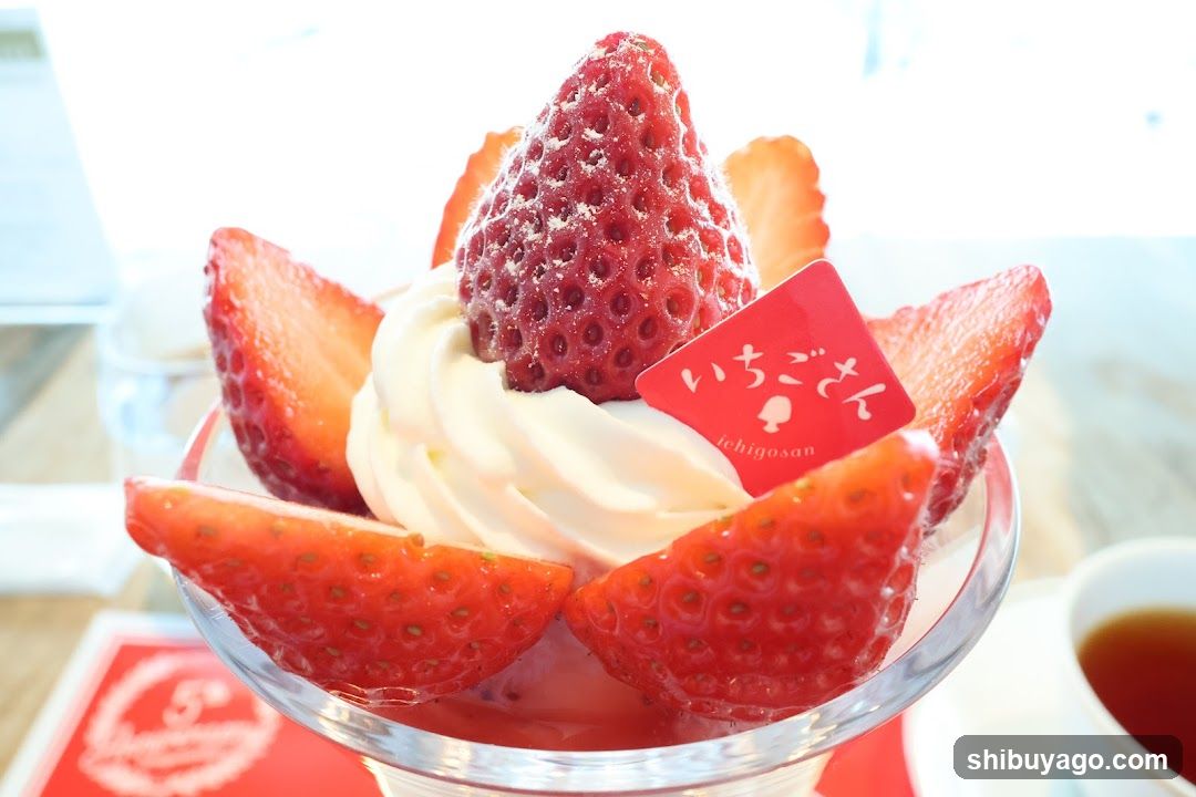 Strawberry Dessert with Whipped Cream