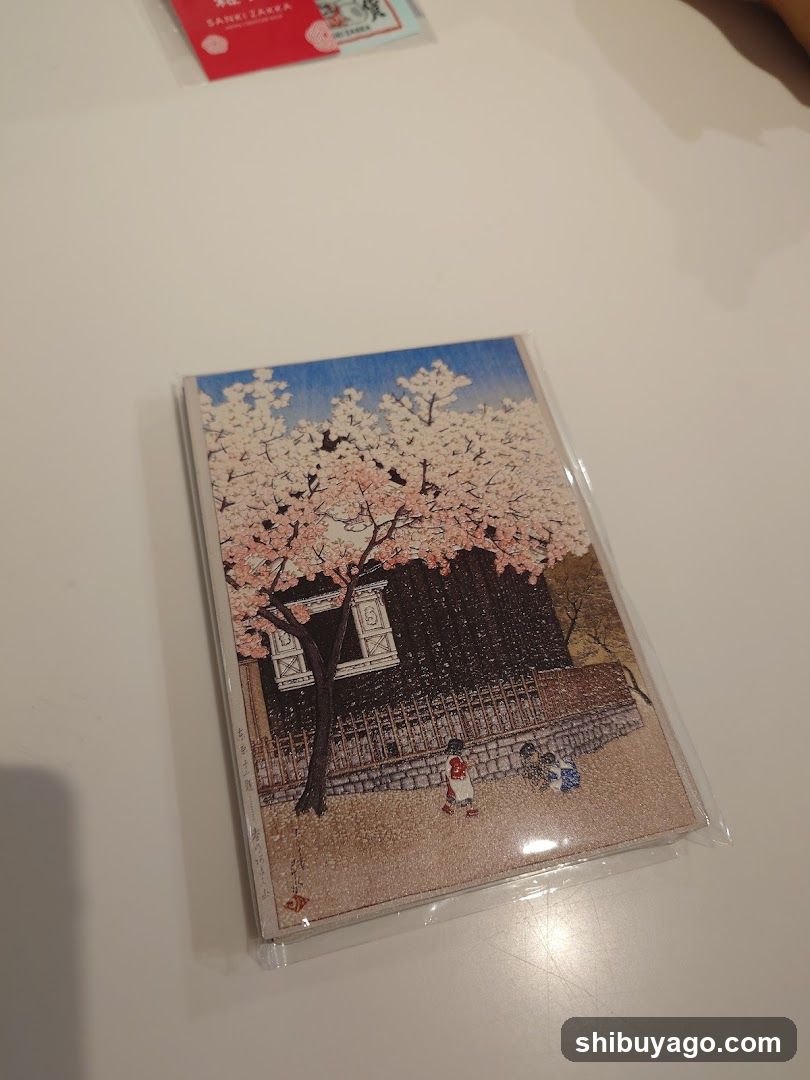 Cherry Blossom Scene Postcard