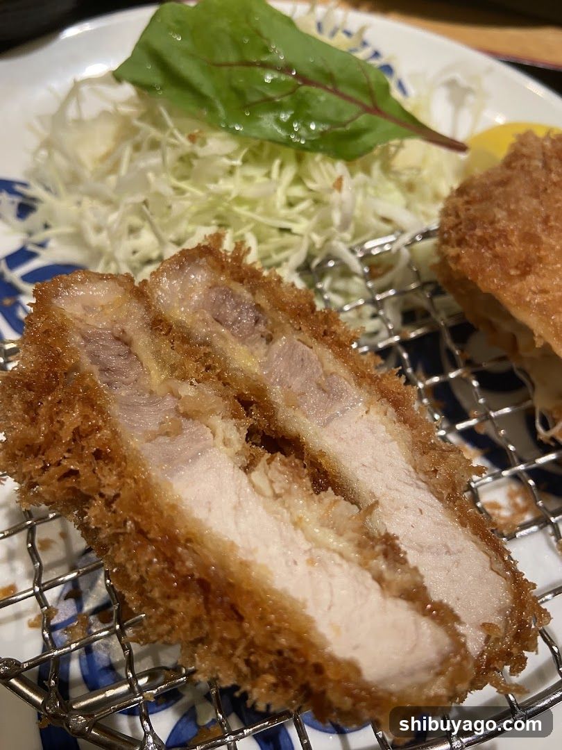 Katsu with Cabbage Salad