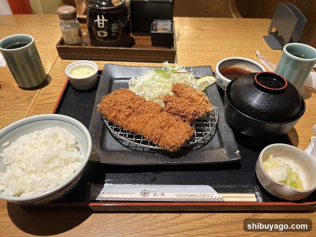 Japanese Katsu Curry Meal