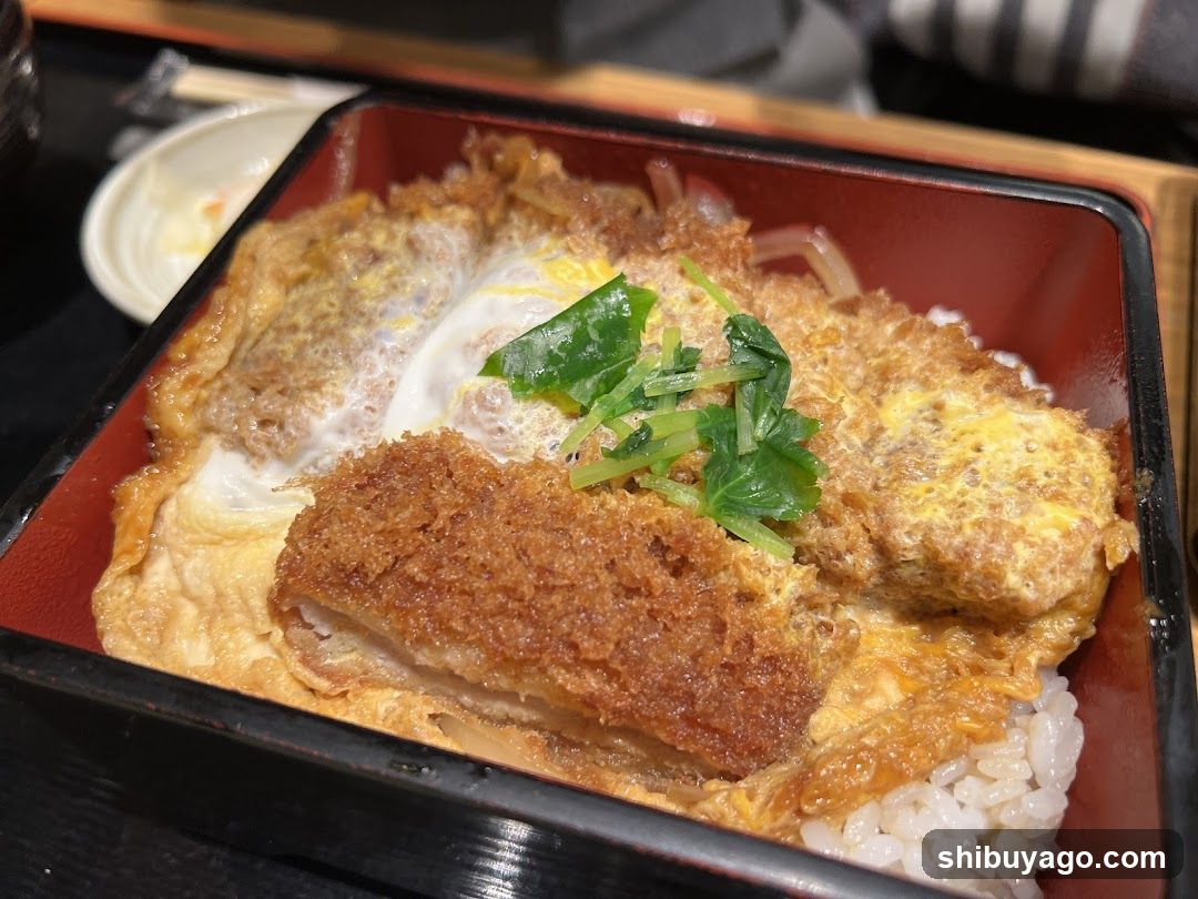 Katsu Don with Fried Egg and Greens