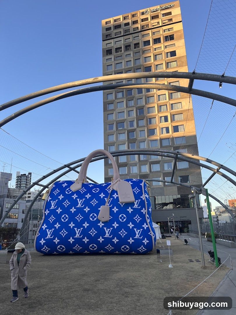 Louis Vuitton Display