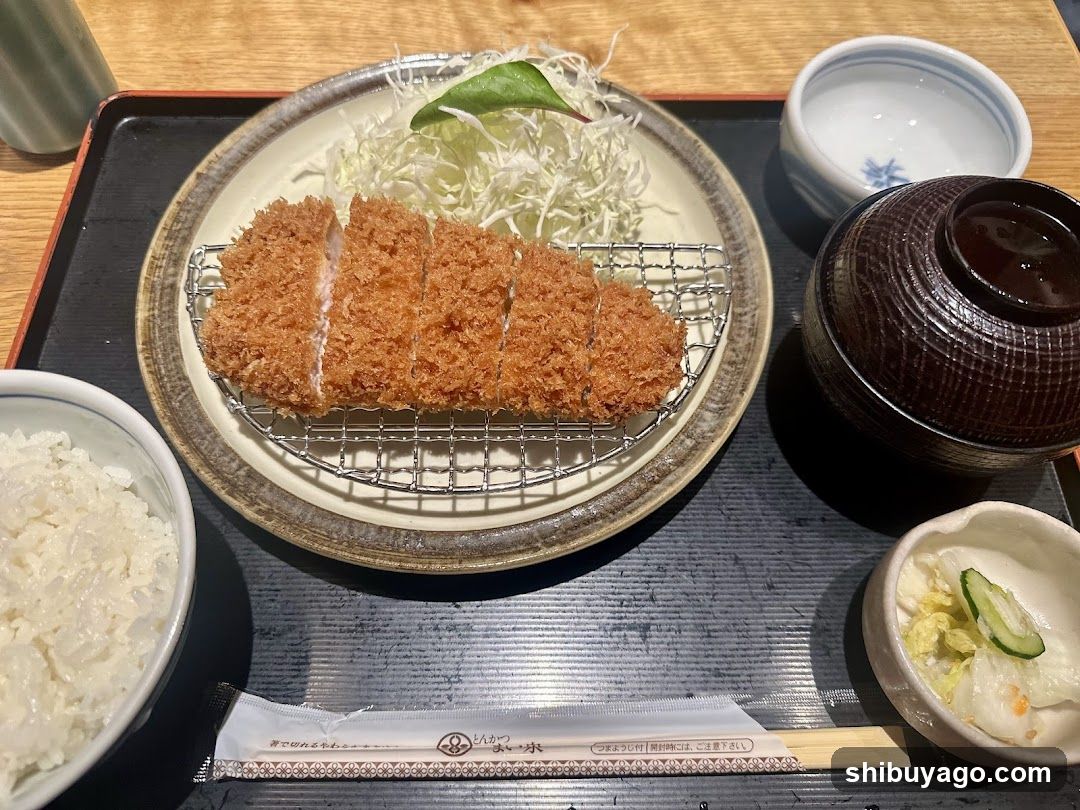 Japanese Katsu Dishes