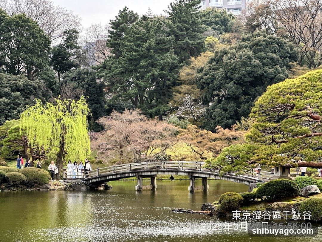 Tokyo Odaiwa Garden