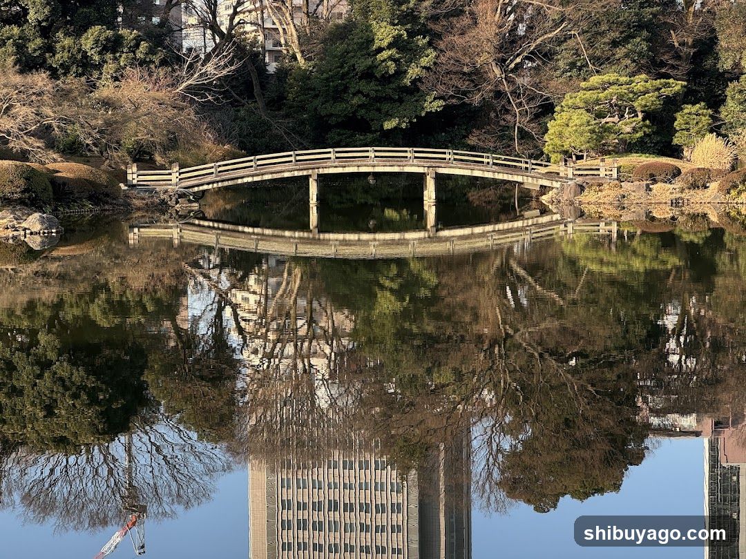 Bridges and Reflections in a Japanese Garden