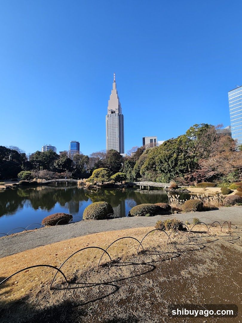 Tokyo Skytree and Park View