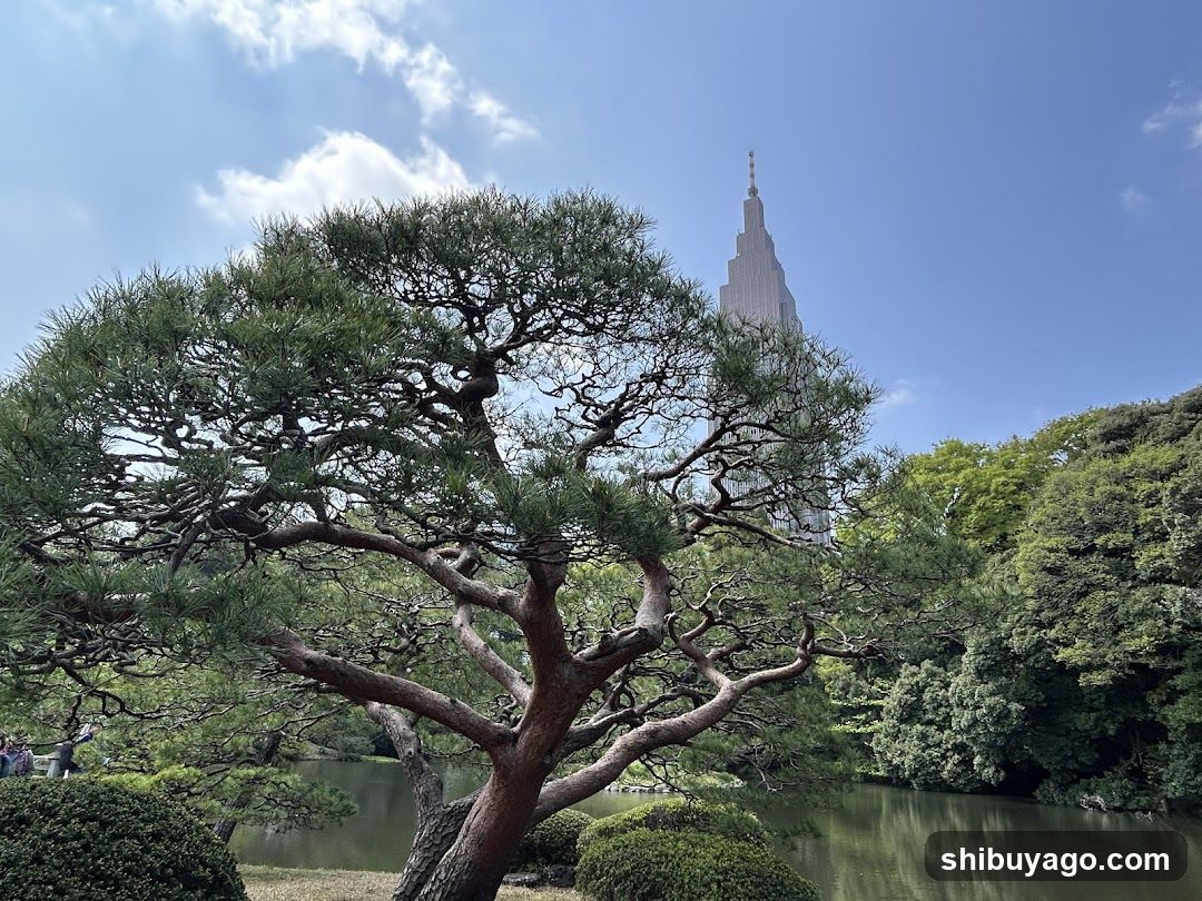 Pine Tree with Tower in Background