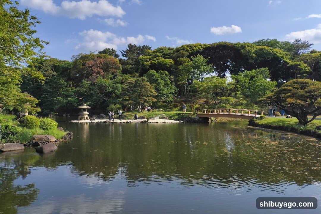 Japanese Garden Scene