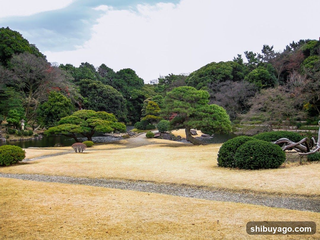 Japanese Garden Landscape
