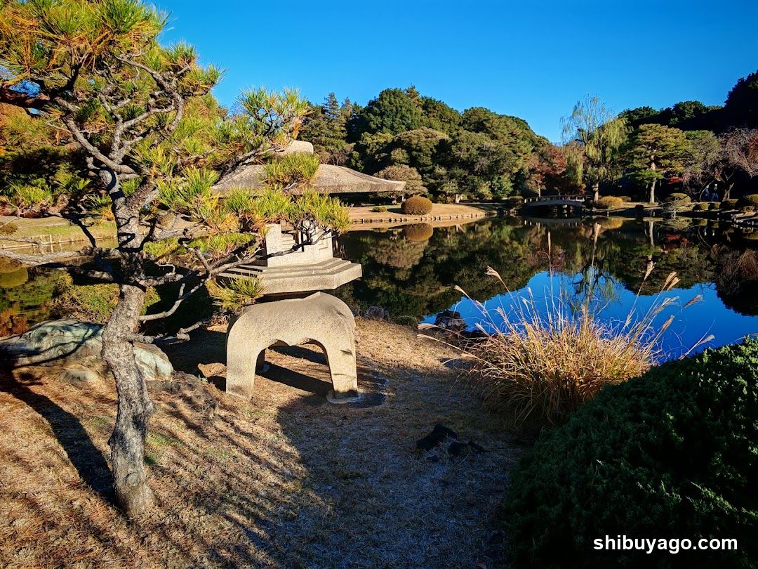 Japanese Garden Scene with Stone Lantern and Pond