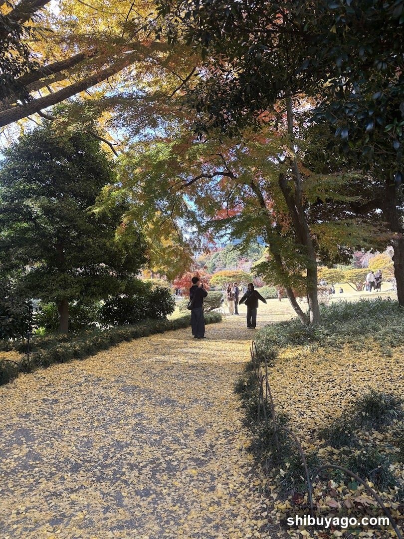 Autumn Path in a Park