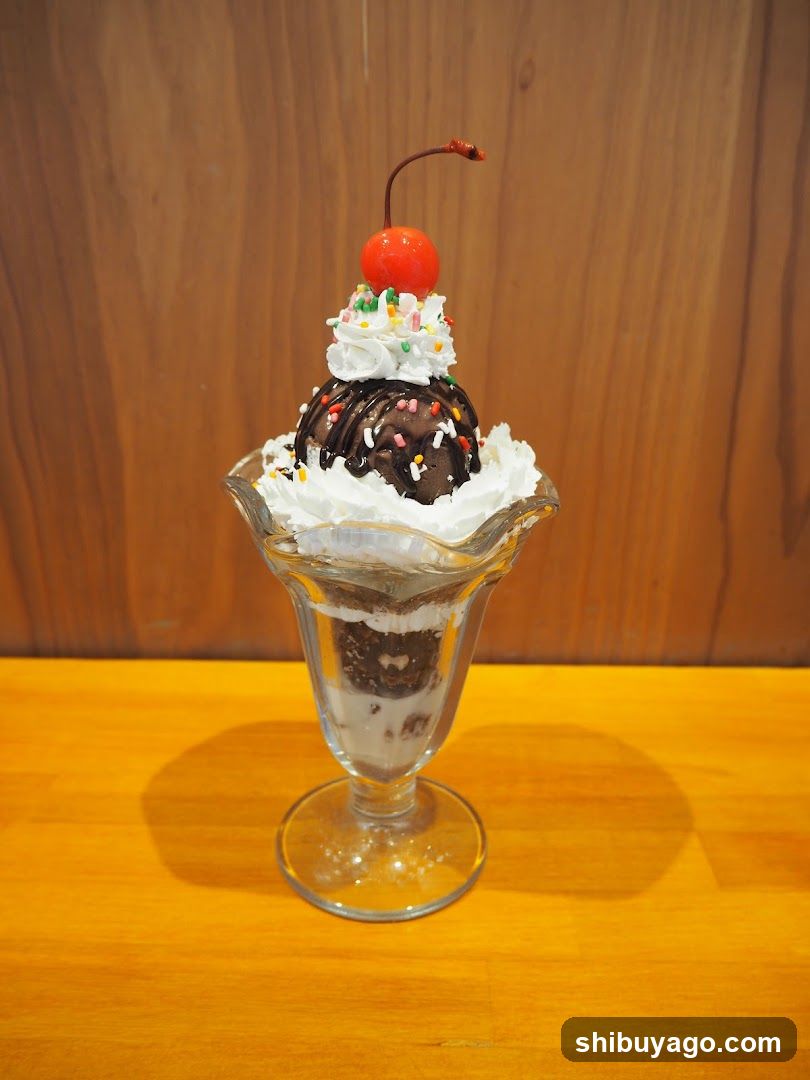 Chocolate Sundae with Cherry and Sprinkles