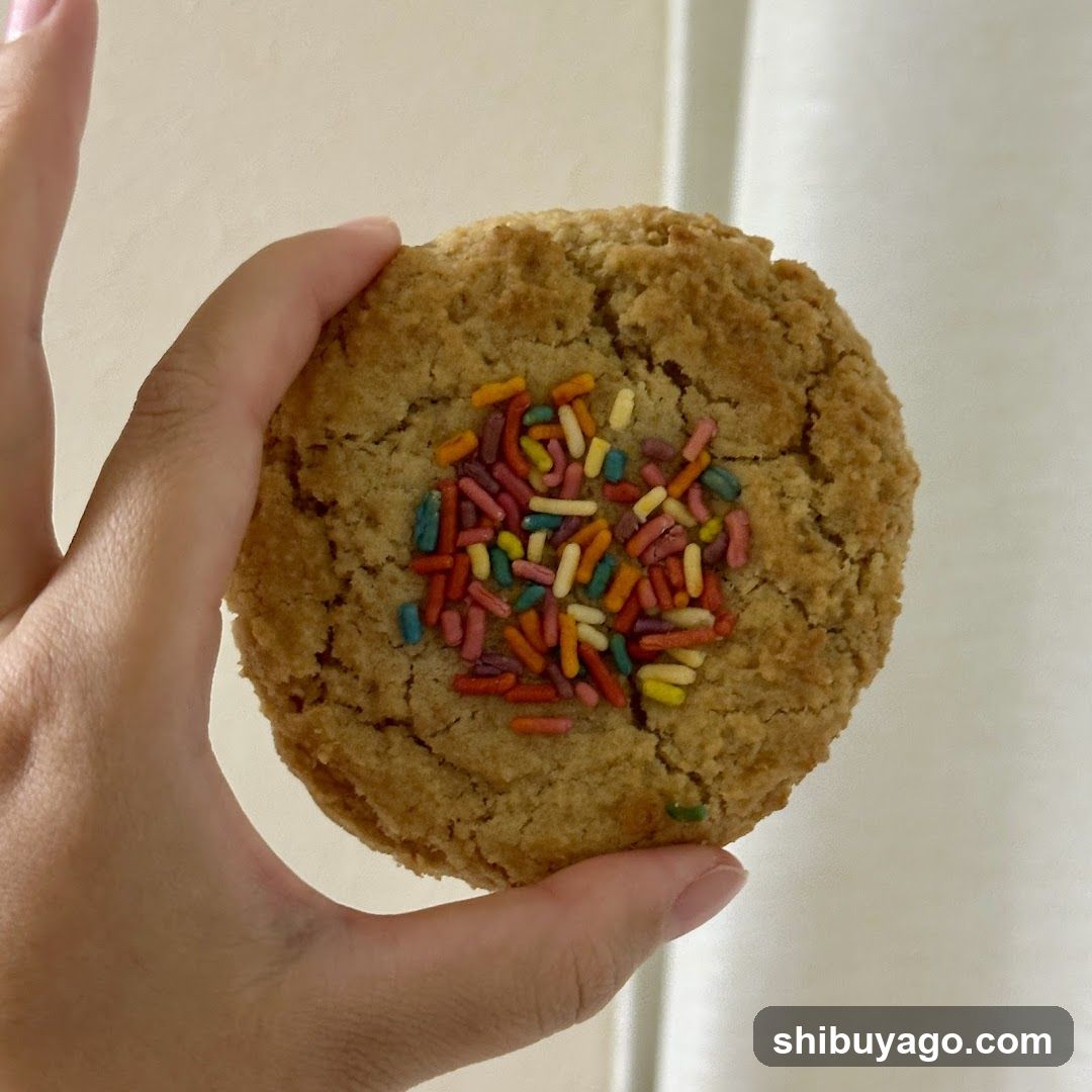 Hand Holding a Sprinkled Cookie