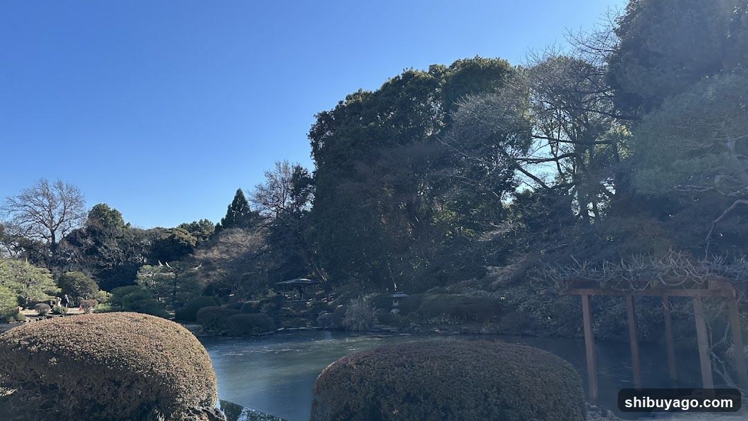 Garden Scene with Pond and Trees