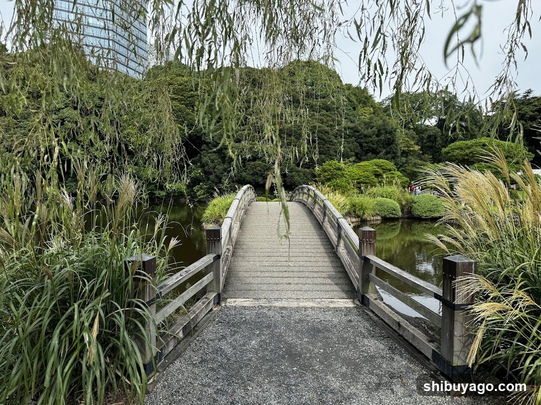Bridging Nature and Urbanity