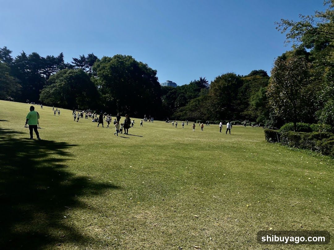 People in a park