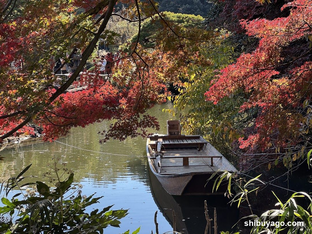 Autumn Boat Scene