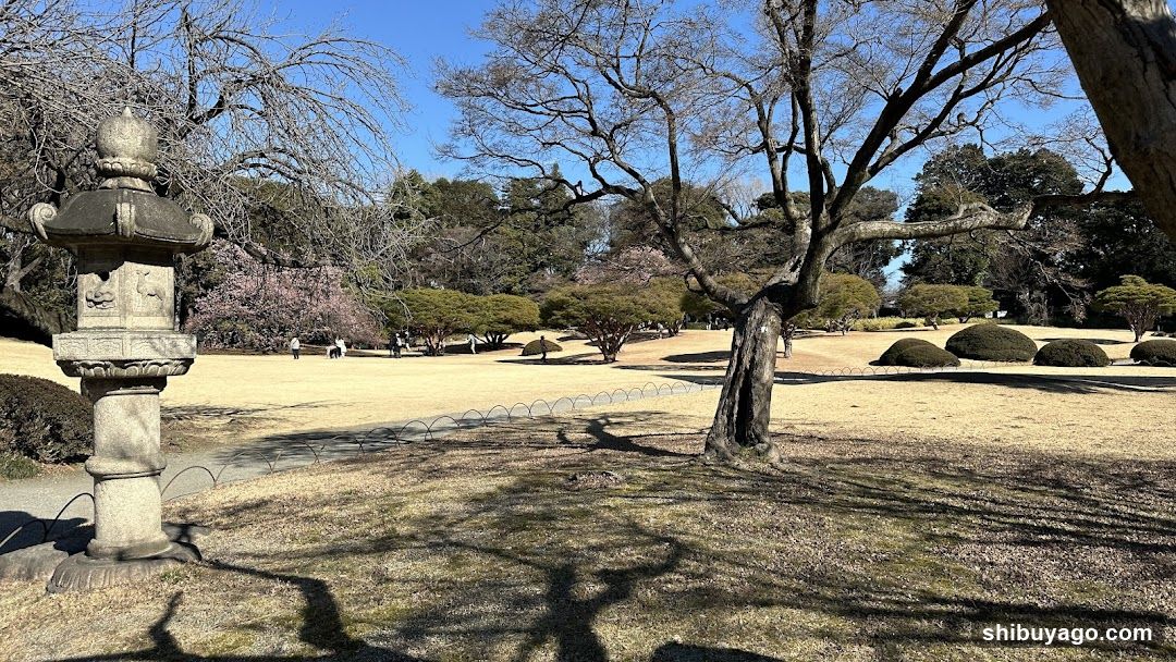 Stone Lantern in Japanese Garden
