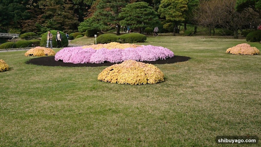Flower Garden Landscape