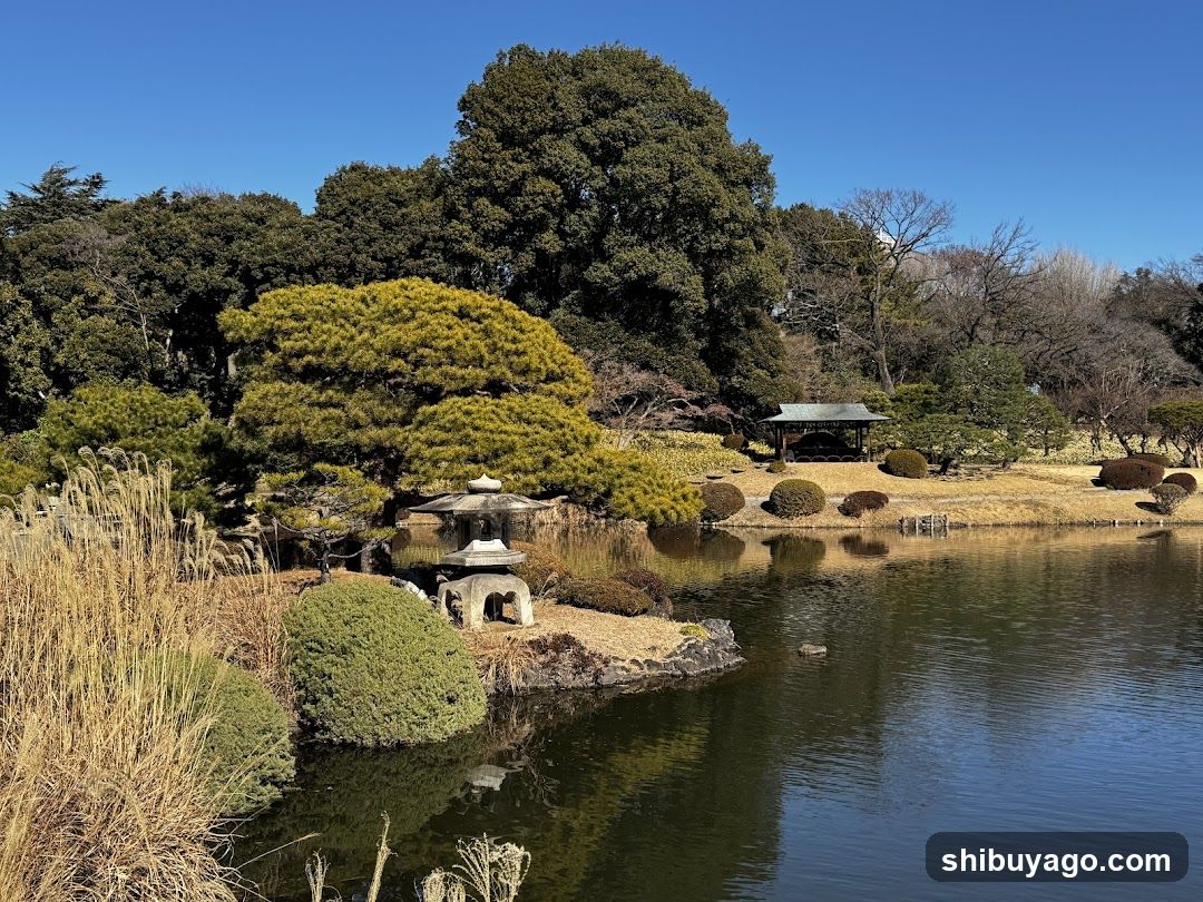 Japanese Garden Scene