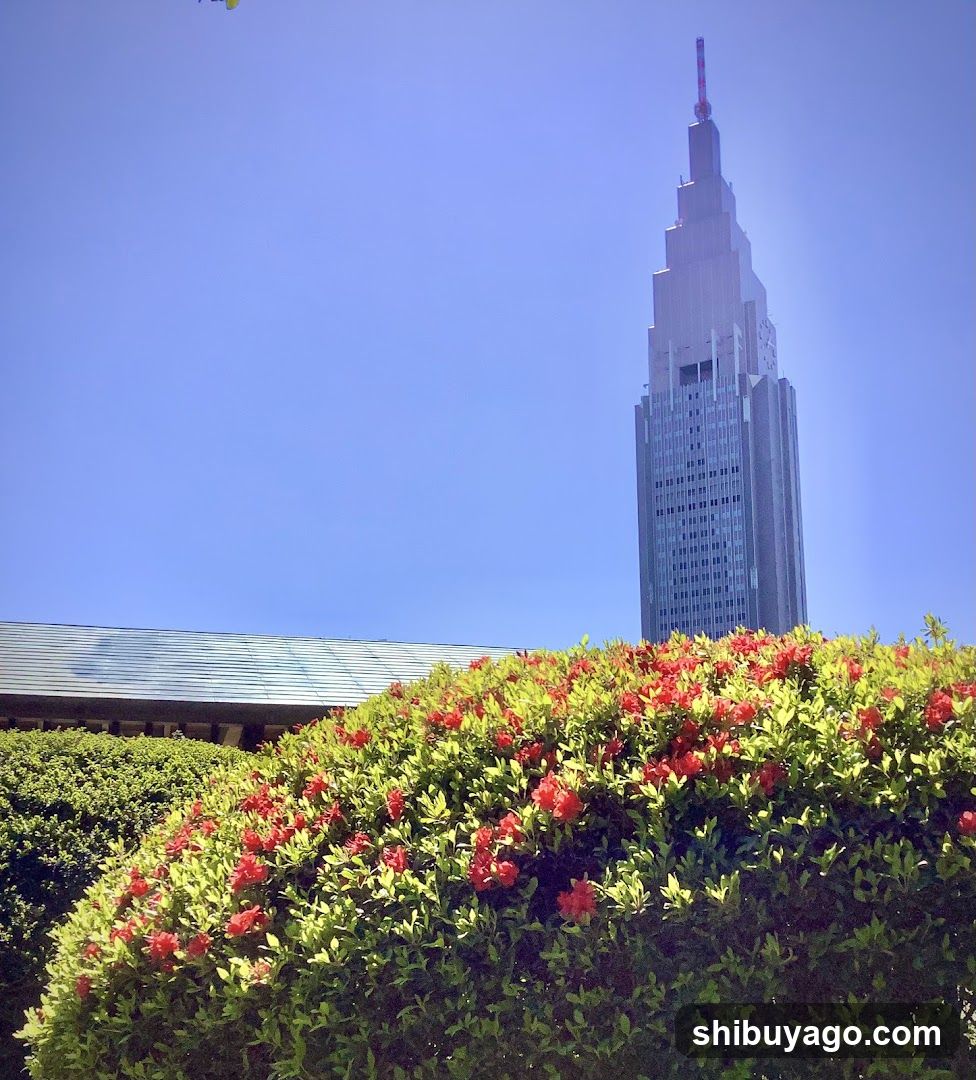 Flowers and Skyscraper