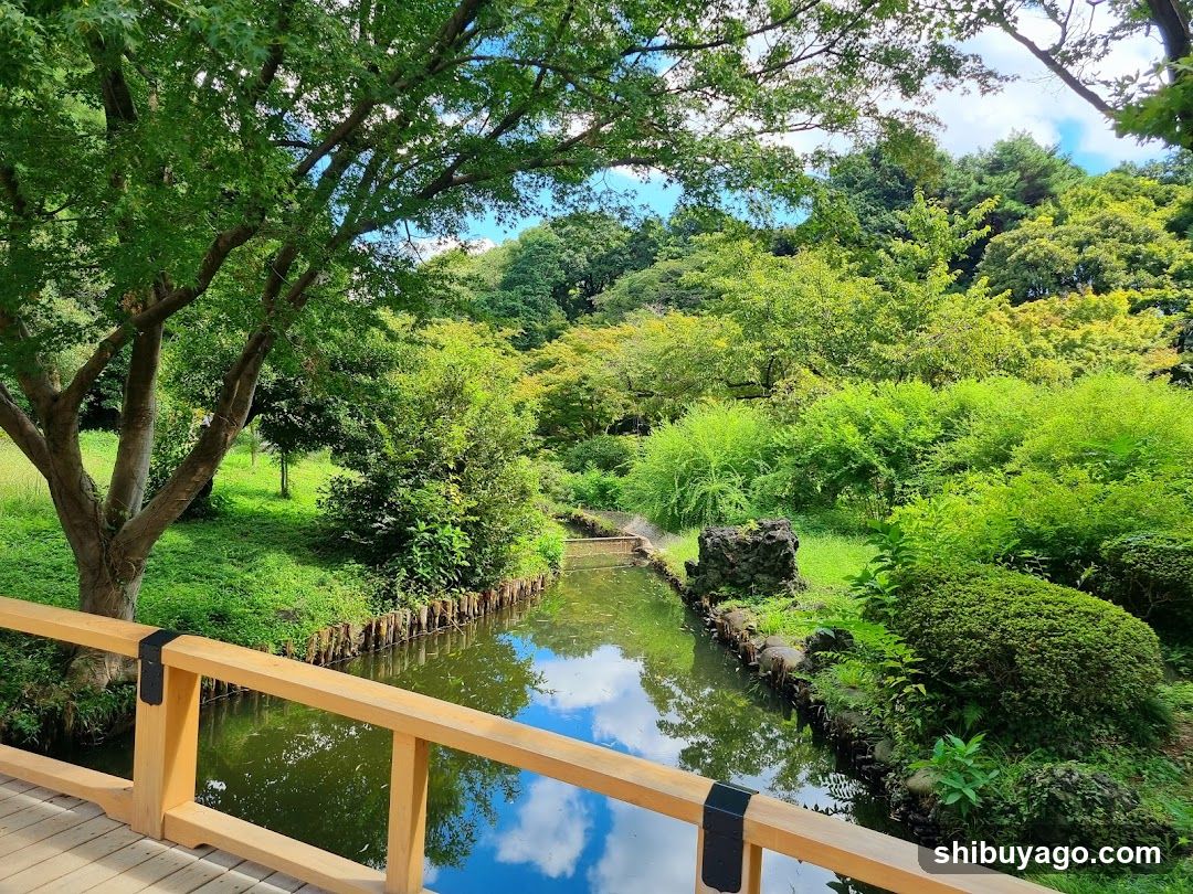 Peaceful Garden Scene with Wooden Bridge
