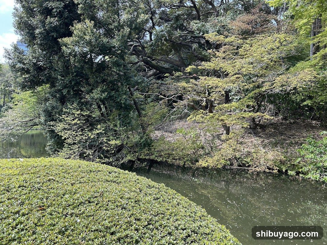 Lush Riverbank Scene