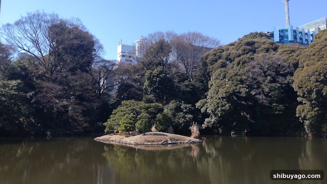Lakeside Park View with City Background