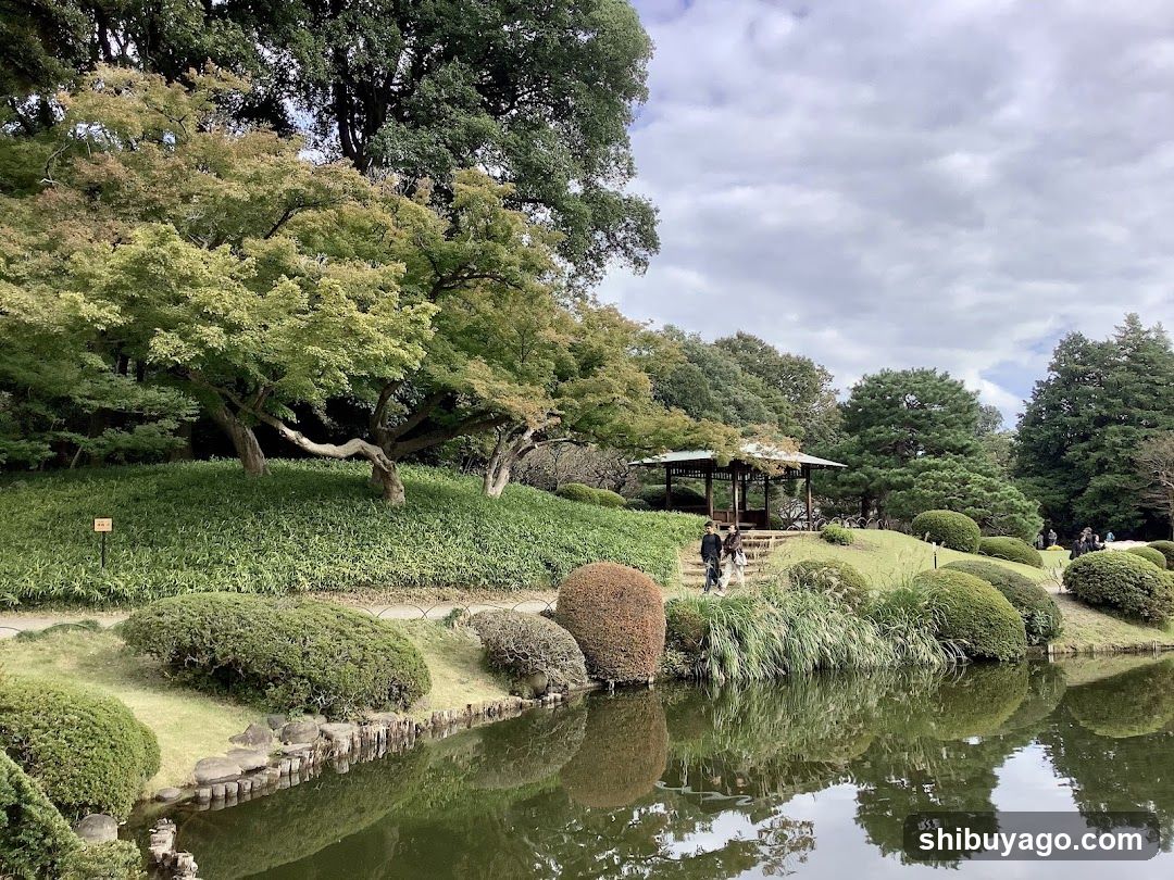 Japanese Garden Scene