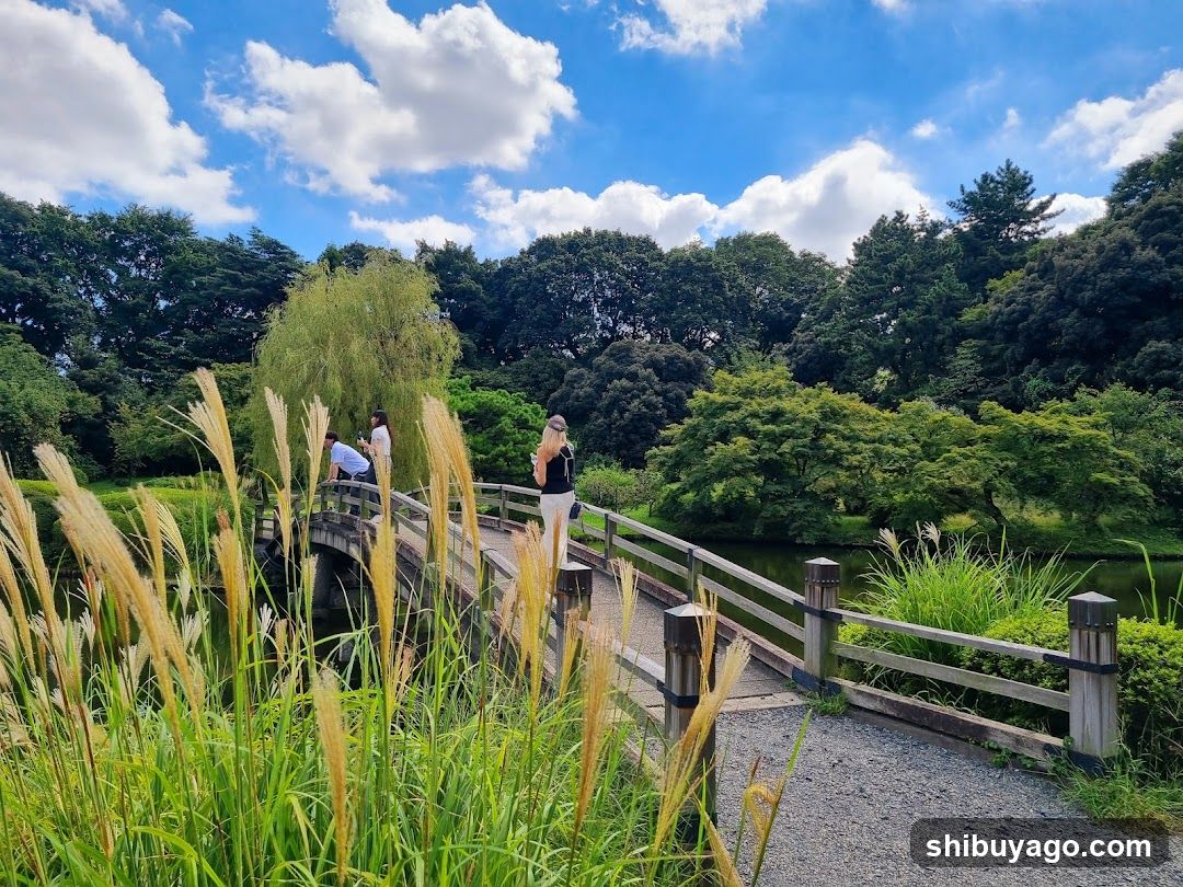 Garden Bridge Scene