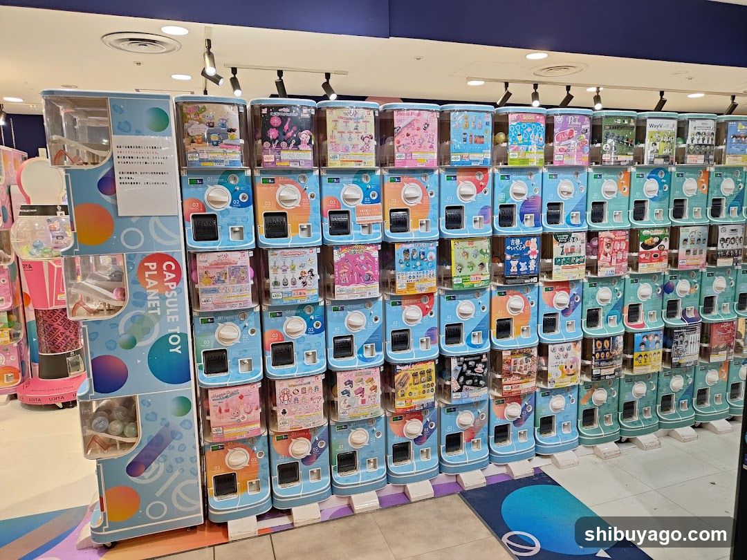 Gashapon Machine Display
