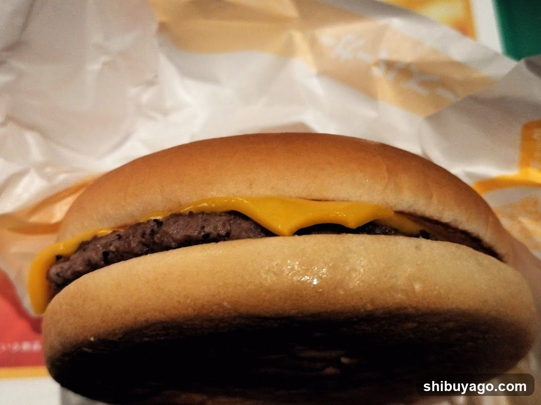 Cheeseburger Close-Up