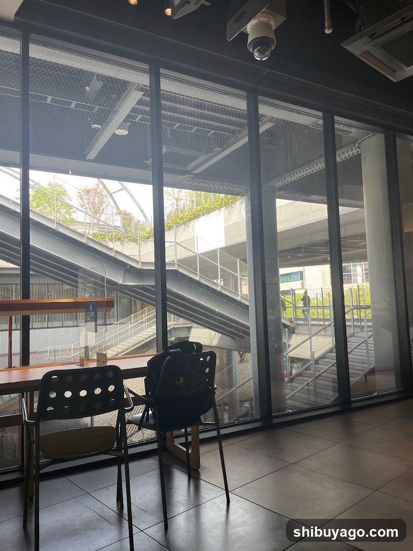 Interior View with Large Windows