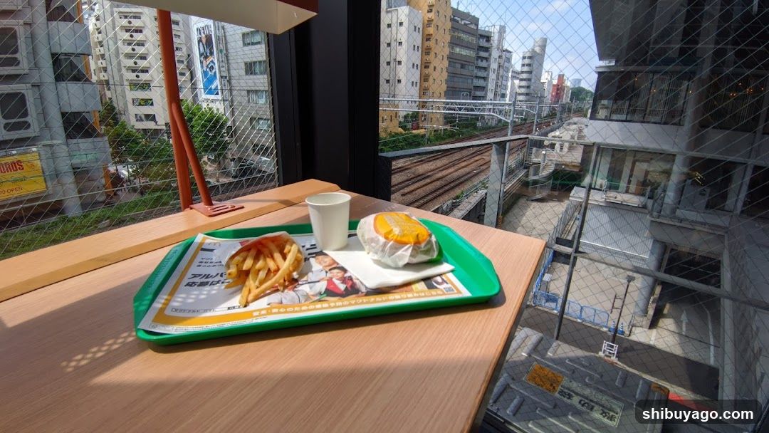 Food Tray with Fast Food and City View
