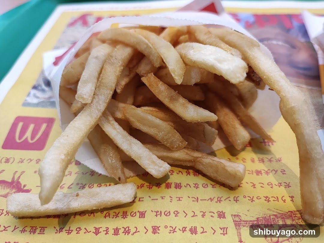 French Fries in Paper Cone