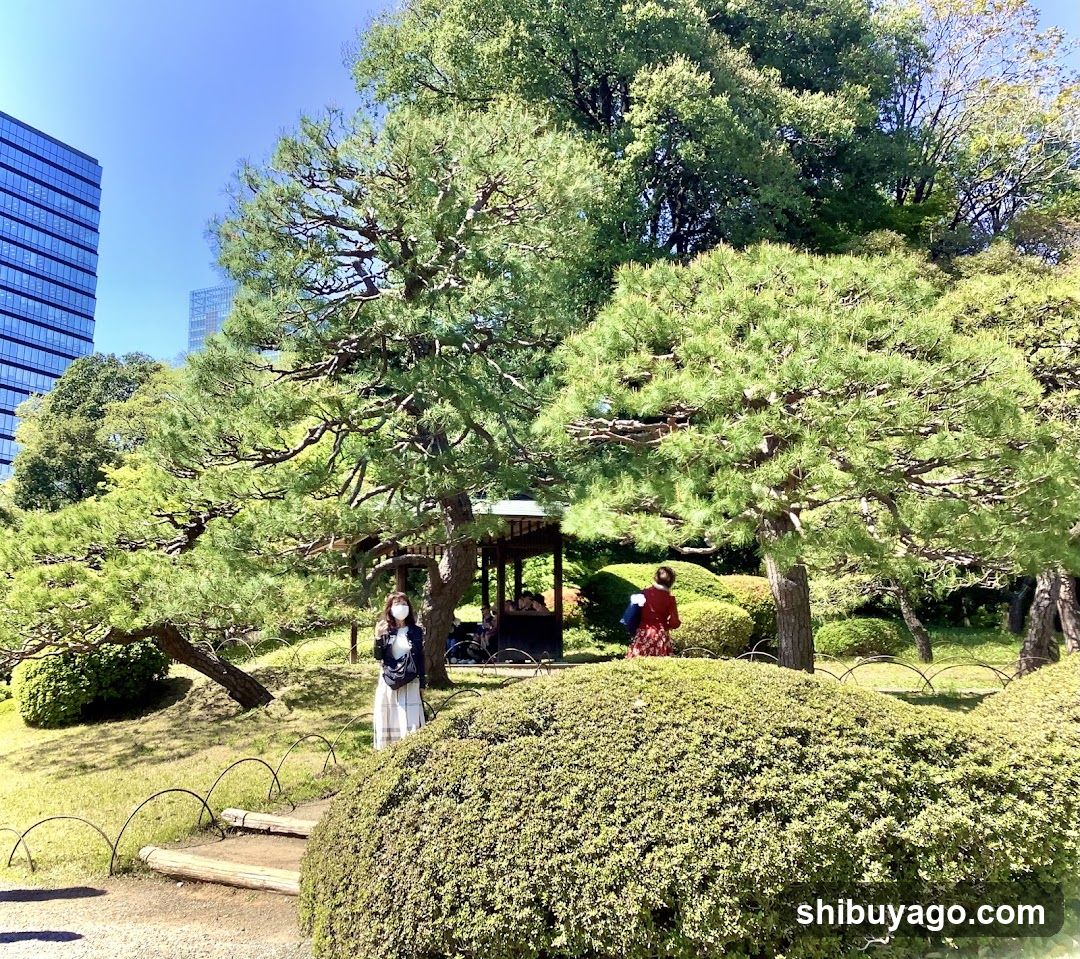 Park Scene with People and Trees