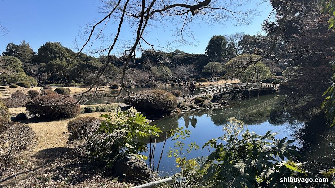 Japanese Garden Scene with Bridge and Pond