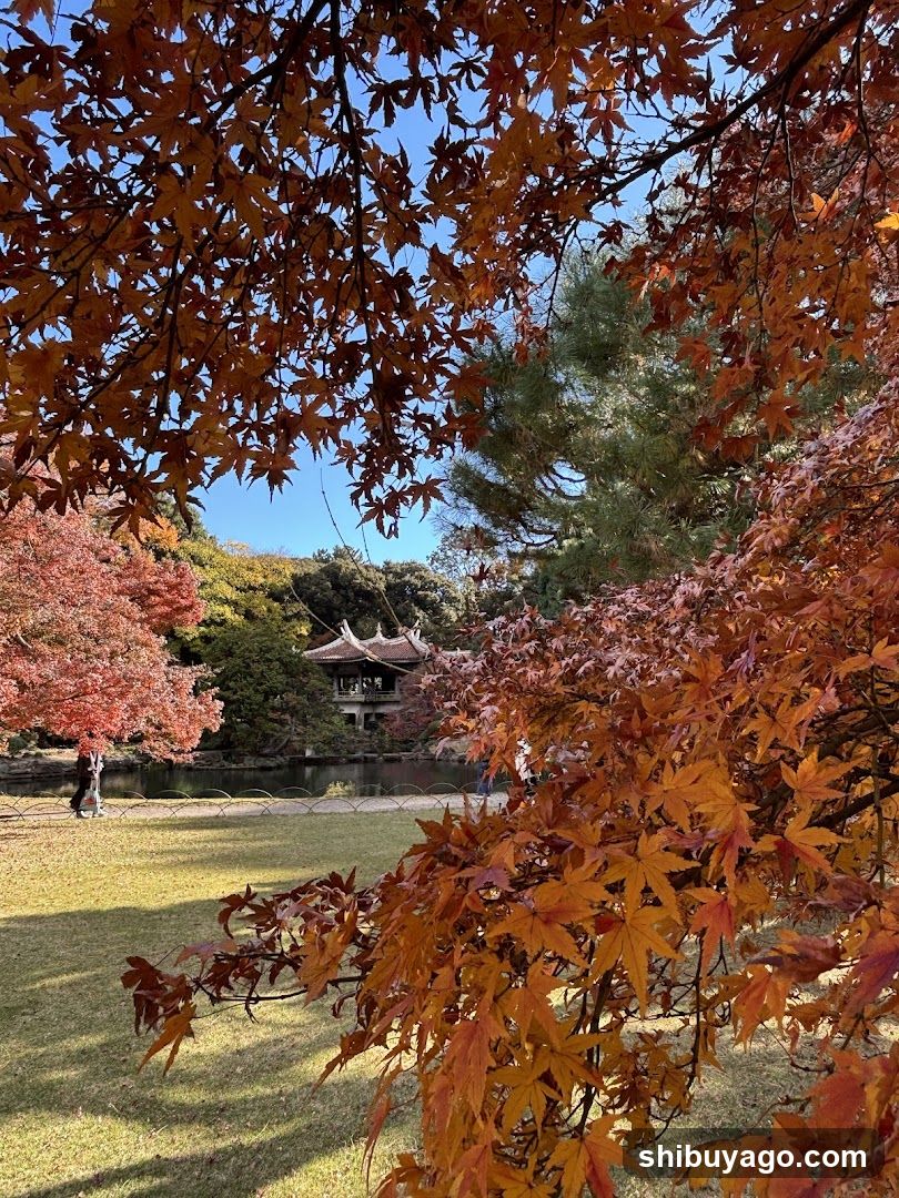Autumn Park View with Japanese Pavilion