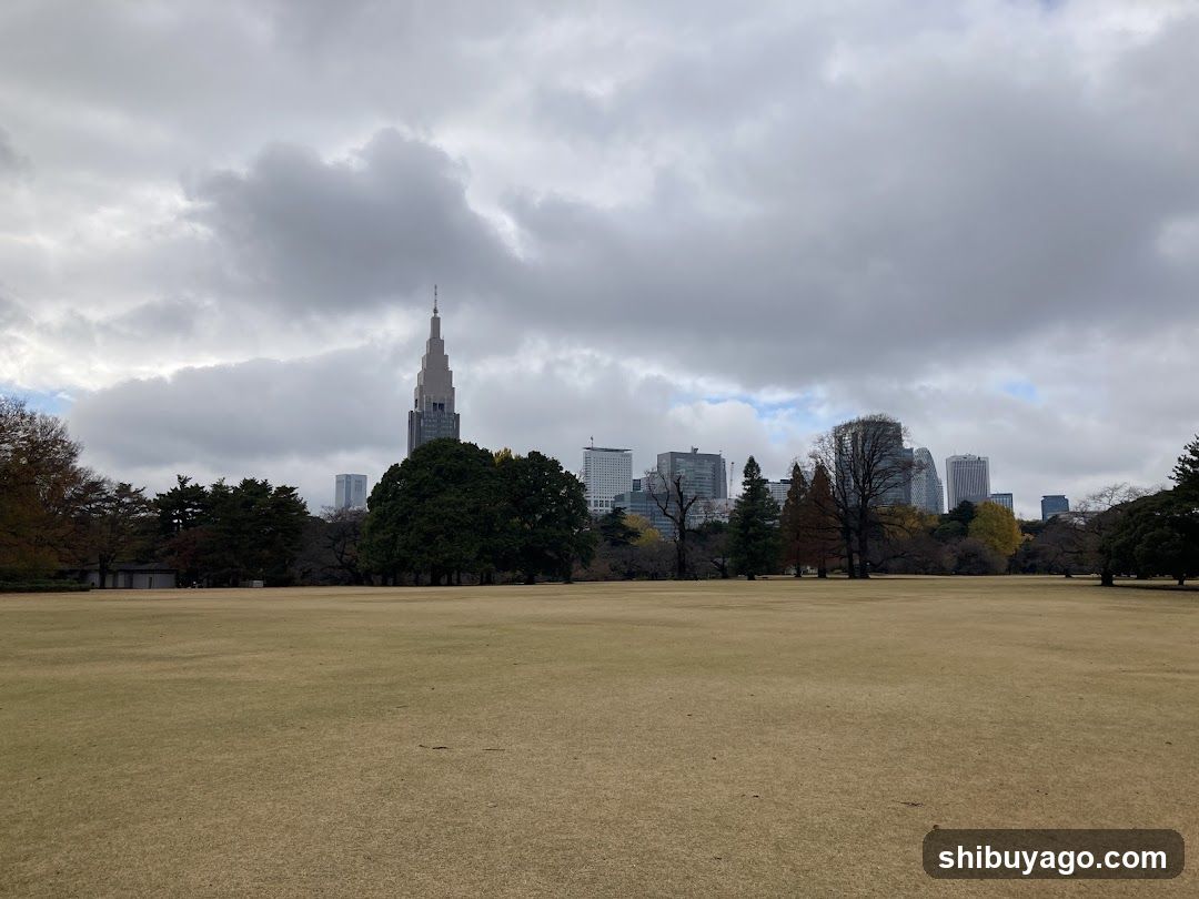 Cityscape with Tower and Park