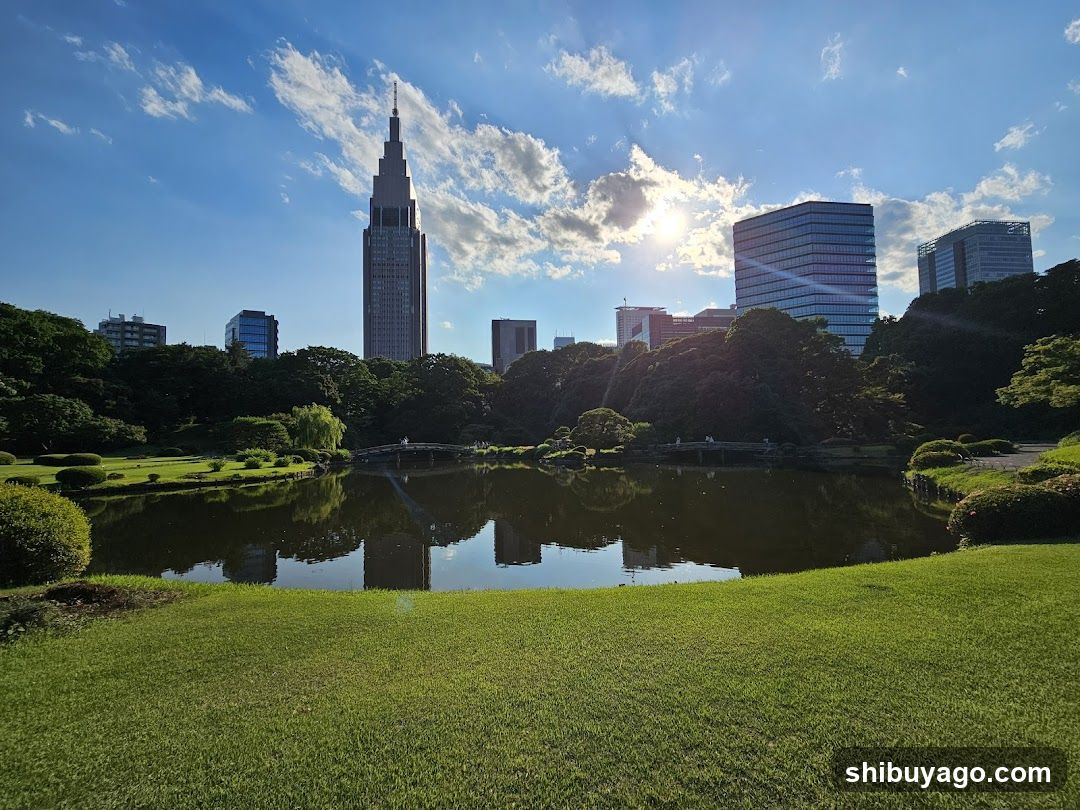 Tokyo Cityscape with Park and Lake