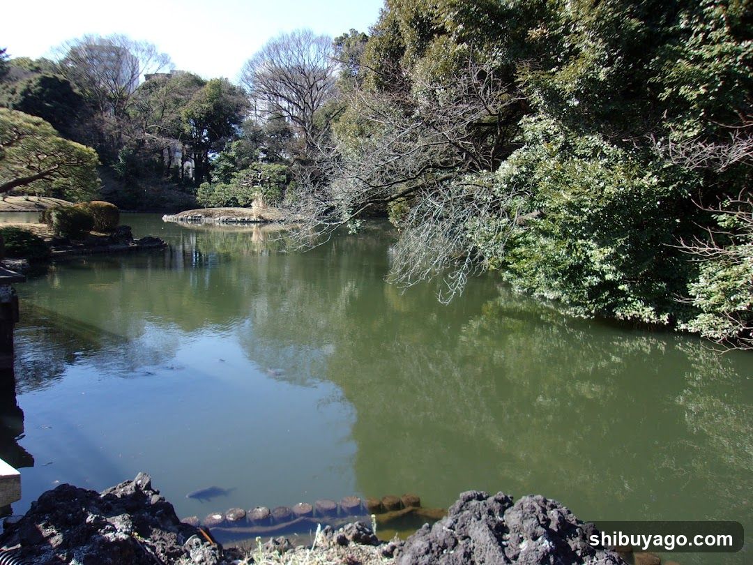 Lakeside Garden Scene