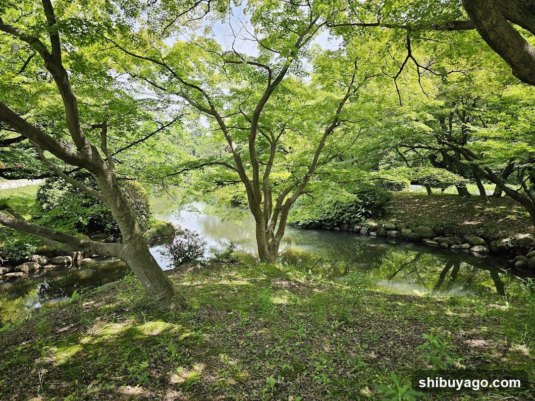 Peaceful River Scene in a Garden