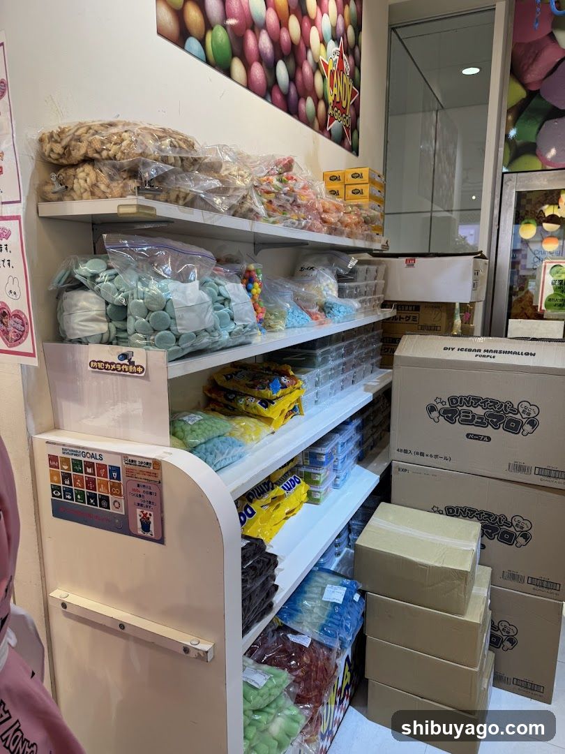 Candy Shop Interior