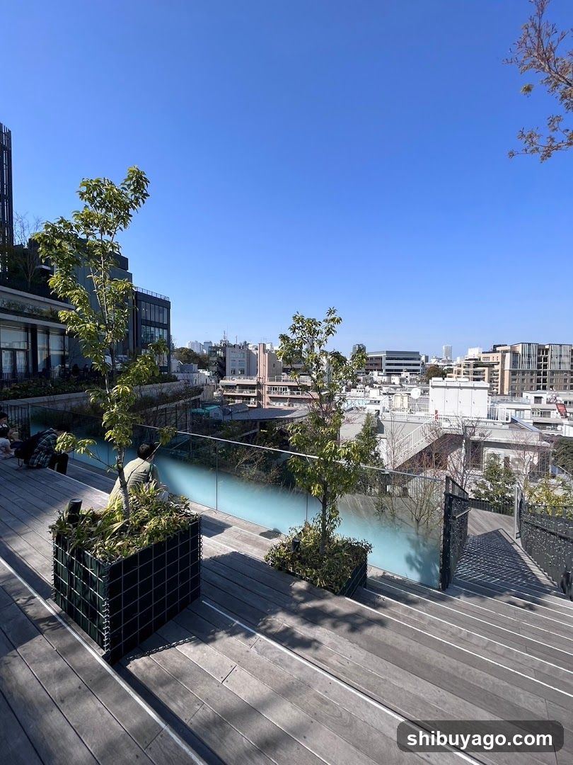 Rooftop Terrace View
