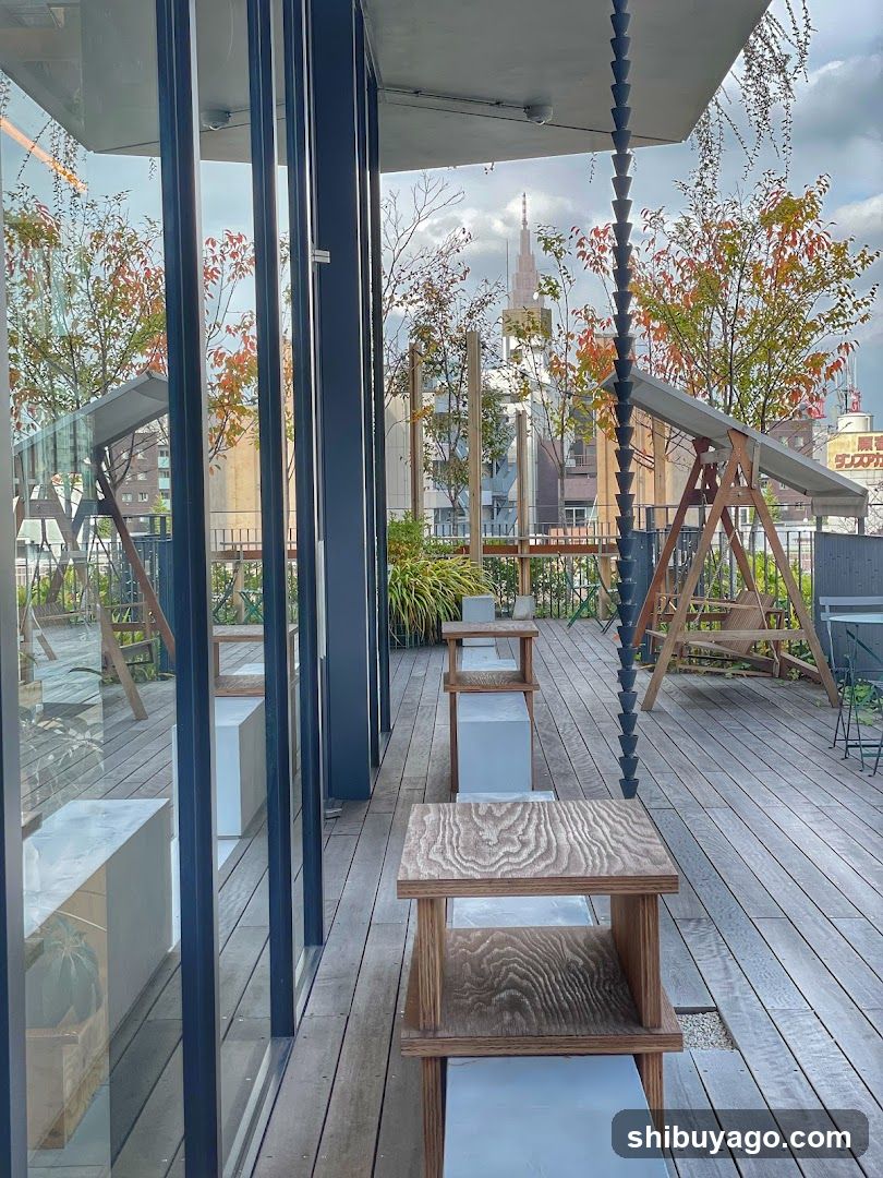 Rooftop Terrace View