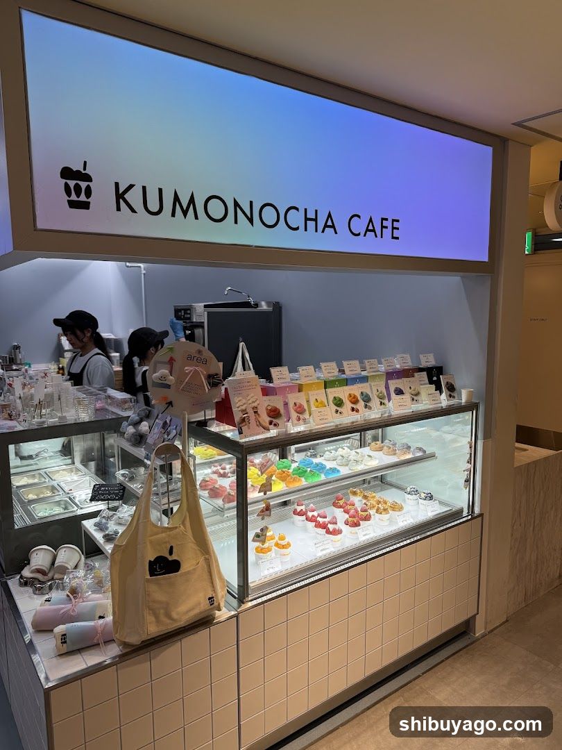 KumonoCha Cafe Interior Display