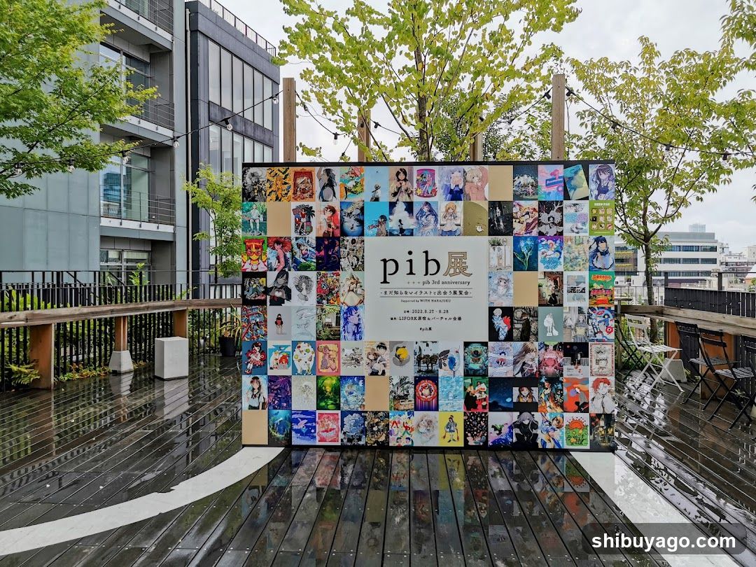 pib 展